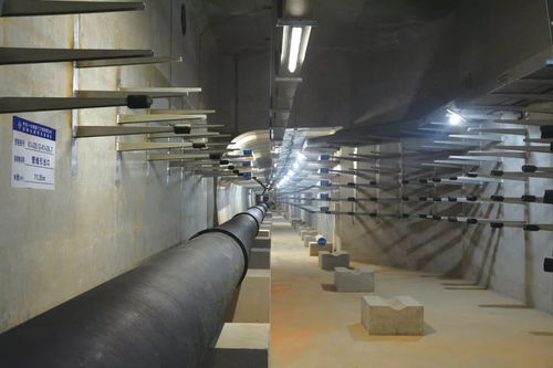 喜訊 公司四項目榮膺中國交建優質工程獎，彰顯市政建設卓越實力